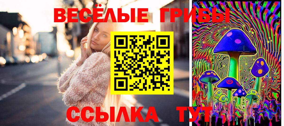 Псилоцибиновые грибы GOLDEN TEACHER  Вход с VPN  Реж  Галлюциногенные грибы Psilocybine cubensis 